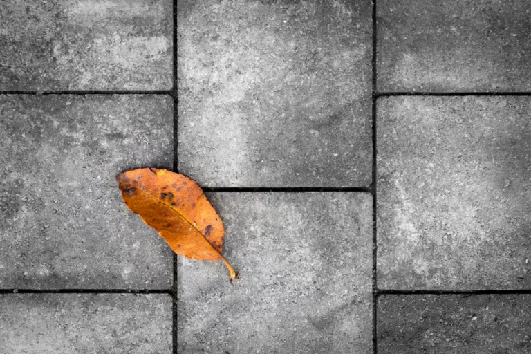 Privatus projektas Vilniuje