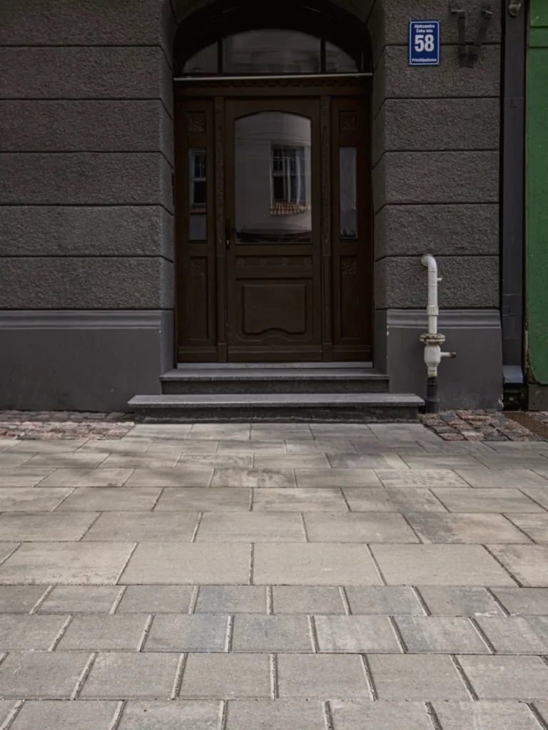 Fossil daugiaspalvė