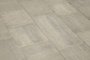 BM ACakaiela Fossil 3res